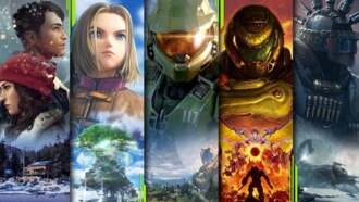 Microsoft уйдет из игровой индустрии, если Game Pass не оправдает ожиданий компании