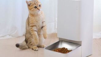 Xiaomi представила автоматическую кормушку Mijia Pet Feeder 2 для ваших питомцев