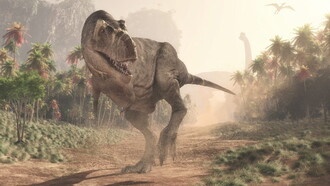 Ученые выяснили, где находился первоначальный дом тираннозавров