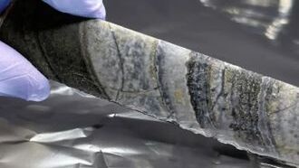 В Южной Африке обнаружены древние микроорганизмы возрастом 3,4 миллиарда лет