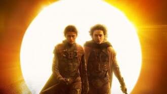 История в продолжении «Дюны» Дени Вильнева будет отличаться от оригинального романа