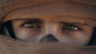 Дени Вильнёв вырезал из «Дюны 2» любимого персонажа и не покажет фанатам удалённые сцены