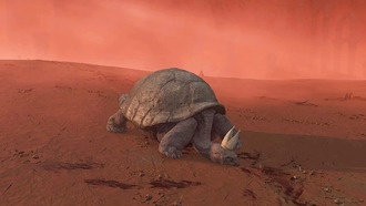 Читеры в Elden Ring сбрасывают более 80 миллионов рун в PvP