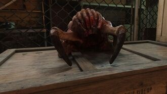 Создатели Half-Life 2 RTX контролируют качество графики
