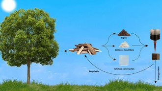 Создание деревянных предметов с помощью 3D-печати из опилок
