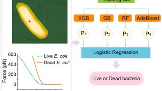 Новый метод быстро определяет жизнеспособность бактерий