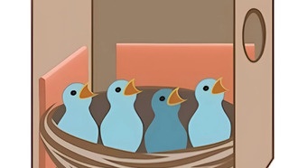 Исследователи обнаружили необычную жароустойчивость у древесных ласточек