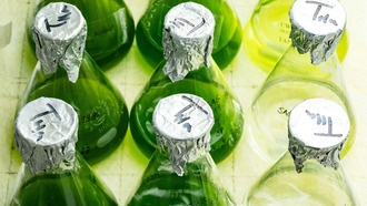 Исследователи объясняют, как зеленые водоросли и бактерии вместе способствуют защите климата