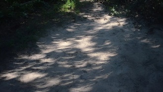 Как сфотографировать солнечное затмение на смартфон