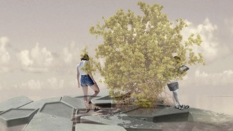 Океанские леса: как «плавающие» мангровые заросли могут принести широкий спектр экологических и социальных выгод