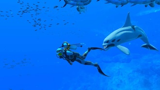 Разработчики Endless Ocean Luminous выпустили новый трейлер, посвящённый звукам океана