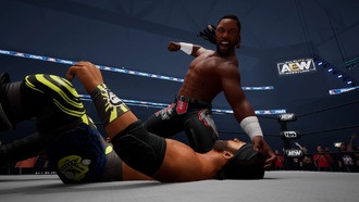 AEW Fight Forever испытывает проблемы с бюджетом