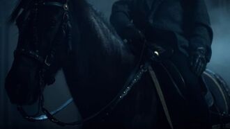 Смотрите стрим с анонса новой игры от Warhorse Studios