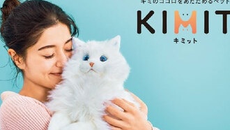 Sega отзывает роботов-кошек в Японии после того, как пользователи сообщили о запахе гари