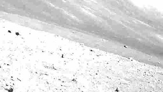 Первый японский лунный аппарат пережил третью морозную лунную ночь