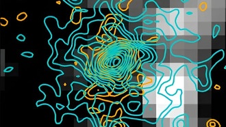 REBELS-25 — динамически холодная дисковая галактика, показали наблюдения