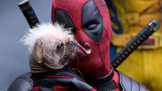 Райан Рейнольдс гордится: «Дэдпул» и «Росомаха» — огромный шаг для Disney