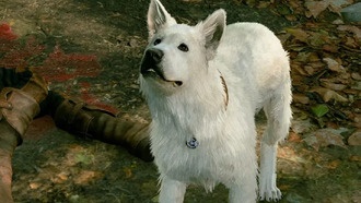 Пользователь выбрал необычный подход к прохождению Baldurs Gate 3: только Шкряб и тактический режим