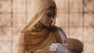 Полное руководство для новичков по Dune: Awakening