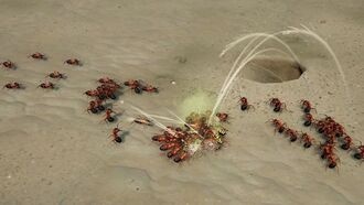 Empires of the Undergrowth: успех Manor Lords