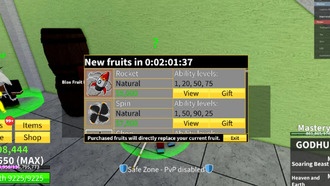 Blox Fruits: список лучших фруктов