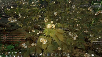 Где найти хлопок в Soulmask