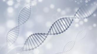 Учёные Массачусетского технологического института сохранили данные ДНК в полимере