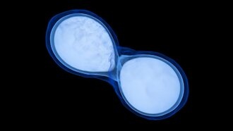 Новое моделирование выявило горячие нейтрино, захваченные во время столкновений нейтронных звезд