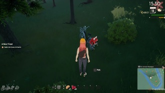 Что нужно знать перед игрой в SunnySide