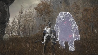 Все новые прахи для призыва в дополнении Elden Ring: Shadow Of The Erdtree