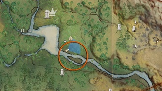 Как получить кремень в Pax Dei