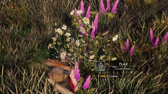 Как получить больше клетчатки в ASKA