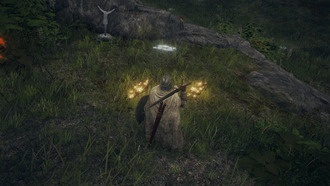 Кооператив Elden Ring: Как играть в сетевую игру