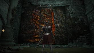 Как играть за Вильдера в Elden Ring: Nightreign — гайд по универсальному бойцу