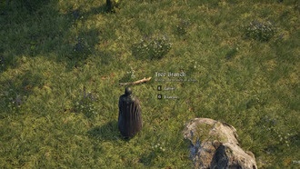 Как добыть заболонь и сердцевину в Pax Dei