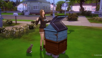 Как получить мед от пчел в The Sims 4: Времена года