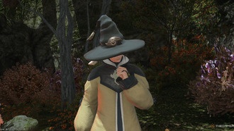 Где разблокировать работу Пиктоманта в FFXIV: Dawntrail