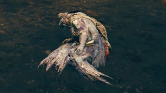 Гайд по сборке Железного Глаза в Elden Ring Nightreign