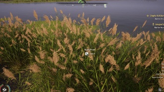 Где найти солому в Medieval Dynasty