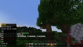 Как телепортироваться в Майнкрафте