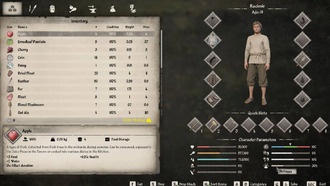 Как убрать грязный статус в Medieval Dynasty