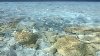 Расширение понимания ранней жизни на Земле может повлиять на поиски жизни на других планетах