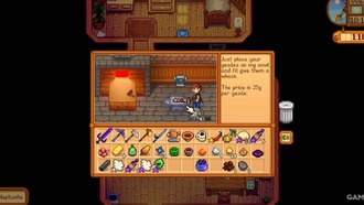 Stardew Valley: как получить гномий гаджет
