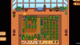 Stardew Valley: как получить вино из карамболы