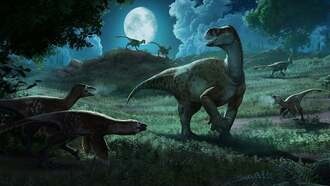 Разработчик обвинил Intel в продаже «испорченных» процессоров Raptor Lake