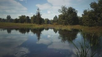 В Manor Lords появится новый источник еды