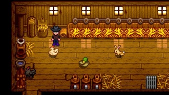 Как кормить цыплят в долине Стардью