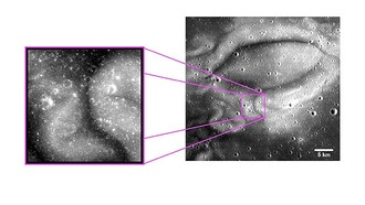 Почвенные условия могут влиять на лунные вихри, показало исследование