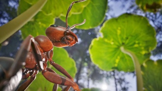 Стратегия Empire of the Ants — на дисках для PS5 и Xbox Series