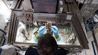 Лекарства от мышечных нарушений испытывают с помощью космических путешествий